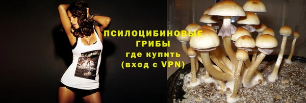 дурь Гусиноозёрск