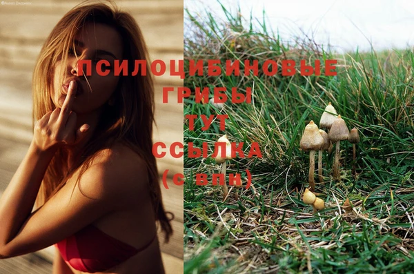 MDMA Premium VHQ Гусев