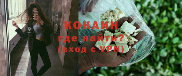 дурь Гусиноозёрск