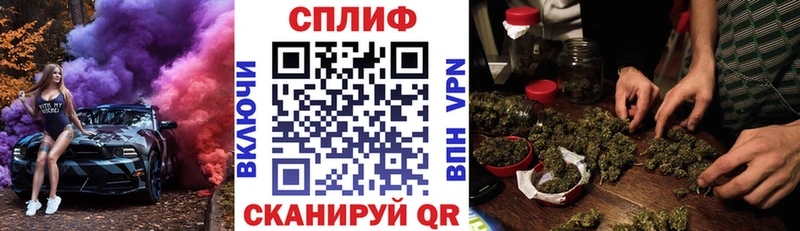 Купить  Сорочинск  Канабис гибрид 